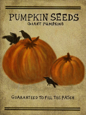 Pumpkin Seeds- Cross Stitch- PRINTED AND MAILED - Kanikis